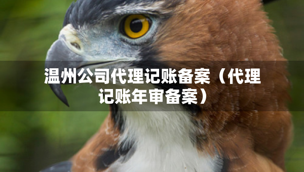 溫州公司代理記賬備案（代理記賬年審備案）