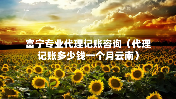 富寧專業(yè)代理記賬咨詢（代理記賬多少錢一個月云南）