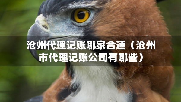 滄州代理記賬哪家合適（滄州市代理記賬公司有哪些）