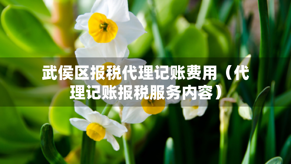 武侯區(qū)報(bào)稅代理記賬費(fèi)用（代理記賬報(bào)稅服務(wù)內(nèi)容）