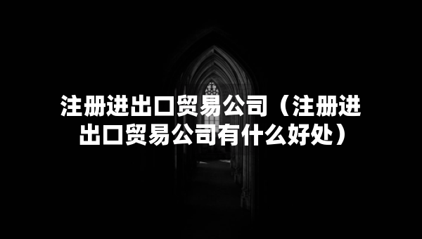 注冊進(jìn)出口貿(mào)易公司（注冊進(jìn)出口貿(mào)易公司有什么好處）