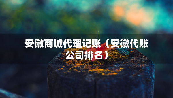 安徽商城代理記賬（安徽代賬公司排名）