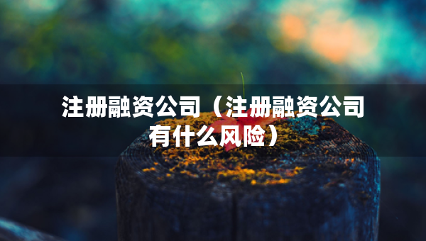 注冊融資公司（注冊融資公司有什么風(fēng)險）