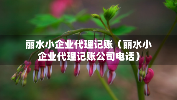 麗水小企業(yè)代理記賬（麗水小企業(yè)代理記賬公司電話）