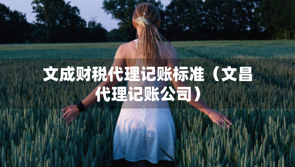 文成財(cái)稅代理記賬標(biāo)準(zhǔn)（文昌代理記賬公司）