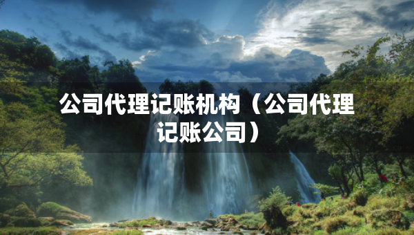 公司代理記賬機(jī)構(gòu)（公司代理記賬公司）