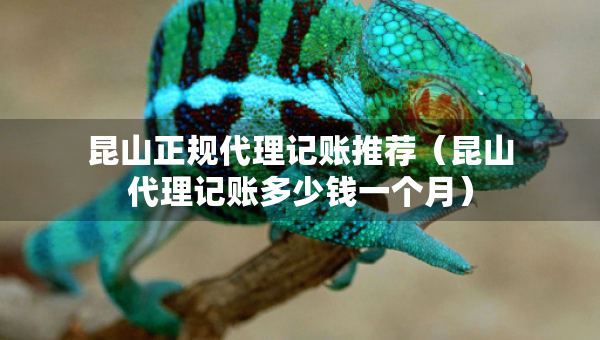 昆山正規(guī)代理記賬推薦（昆山代理記賬多少錢一個月）