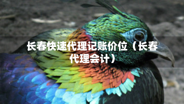 長(zhǎng)春快速代理記賬價(jià)位（長(zhǎng)春代理會(huì)計(jì)）