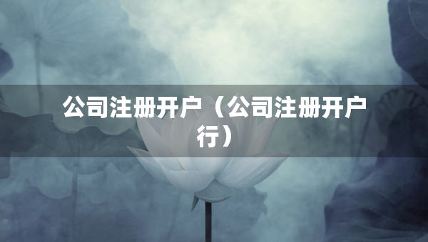 公司注冊(cè)開戶（公司注冊(cè)開戶行）