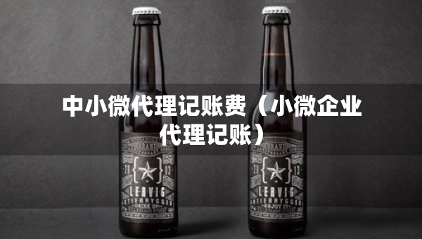 中小微代理記賬費(fèi)（小微企業(yè)代理記賬）