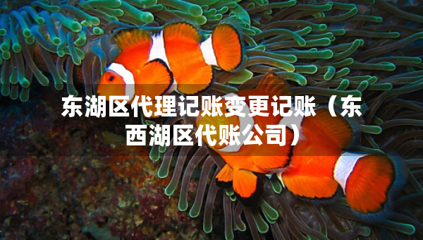 東湖區(qū)代理記賬變更記賬（東西湖區(qū)代賬公司）