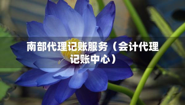 南部代理記賬服務(wù)（會(huì)計(jì)代理記賬中心）