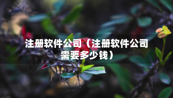 注冊(cè)軟件公司（注冊(cè)軟件公司需要多少錢）