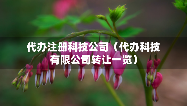 代辦注冊科技公司（代辦科技有限公司轉(zhuǎn)讓一覽）