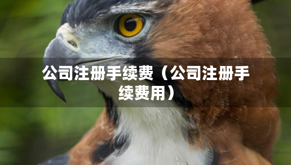 公司注冊(cè)手續(xù)費(fèi)（公司注冊(cè)手續(xù)費(fèi)用）