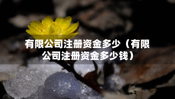 有限公司注冊資金多少（有限公司注冊資金多少錢）