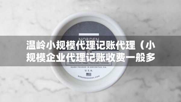 溫嶺小規(guī)模代理記賬代理（小規(guī)模企業(yè)代理記賬收費(fèi)一般多少）