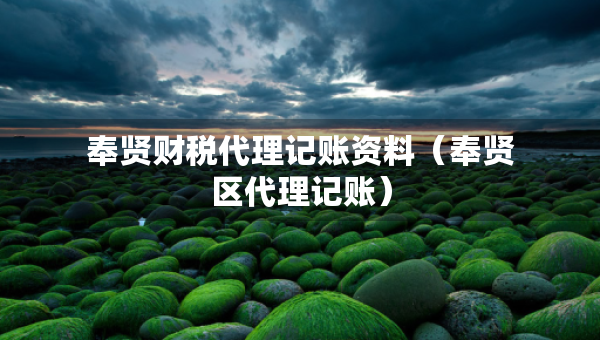 奉賢財(cái)稅代理記賬資料（奉賢區(qū)代理記賬）
