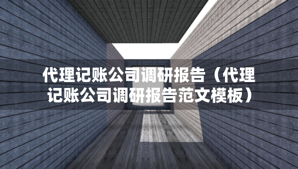 代理記賬公司調(diào)研報(bào)告（代理記賬公司調(diào)研報(bào)告范文模板）