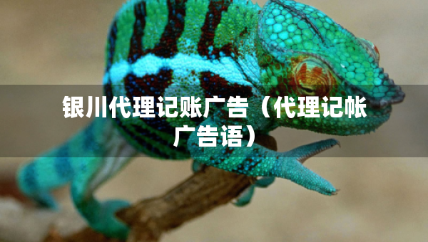 銀川代理記賬廣告（代理記帳廣告語）