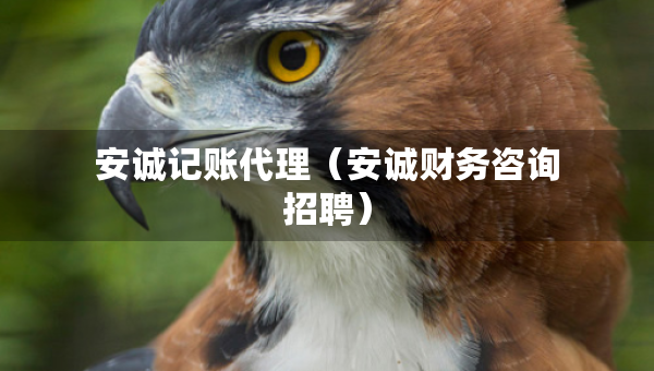 安誠(chéng)記賬代理（安誠(chéng)財(cái)務(wù)咨詢招聘）