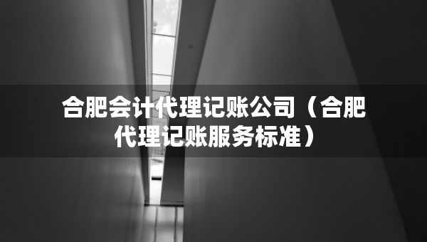 合肥會計代理記賬公司（合肥代理記賬服務標準）