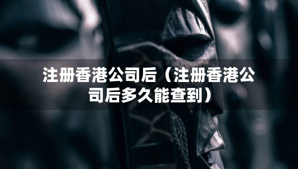 注冊(cè)香港公司后（注冊(cè)香港公司后多久能查到）