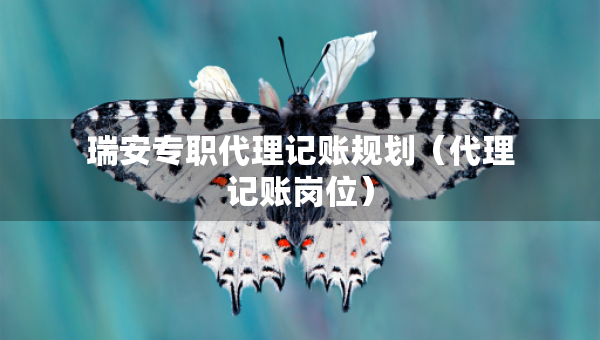 瑞安專職代理記賬規(guī)劃（代理記賬崗位）