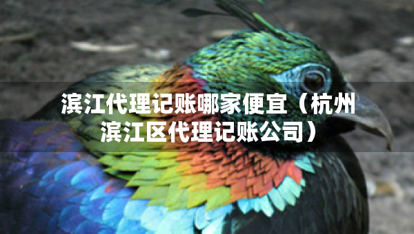 濱江代理記賬哪家便宜（杭州濱江區(qū)代理記賬公司）