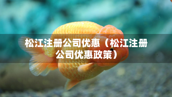 松江注冊公司優(yōu)惠（松江注冊公司優(yōu)惠政策）