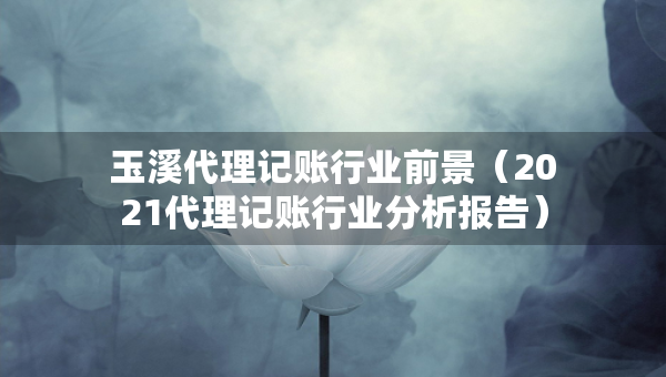 玉溪代理記賬行業(yè)前景（2021代理記賬行業(yè)分析報(bào)告）