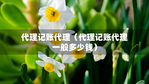 代理記賬代理（代理記賬代理一般多少錢）