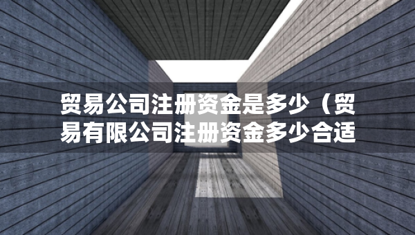 貿(mào)易公司注冊資金是多少（貿(mào)易有限公司注冊資金多少合適）