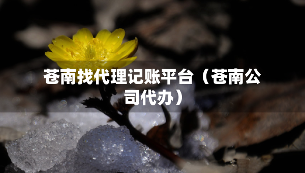 蒼南找代理記賬平臺（蒼南公司代辦）