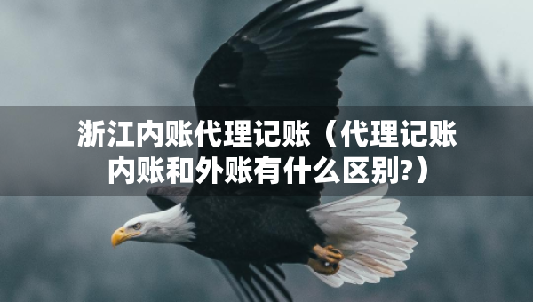 浙江內賬代理記賬（代理記賬內賬和外賬有什么區(qū)別?）