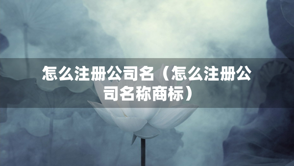 怎么注冊(cè)公司名（怎么注冊(cè)公司名稱(chēng)商標(biāo)）