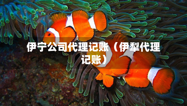 伊寧公司代理記賬（伊犁代理記賬）