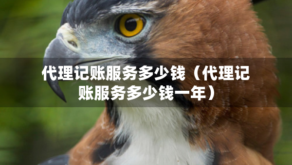 代理記賬服務(wù)多少錢(qián)（代理記賬服務(wù)多少錢(qián)一年）