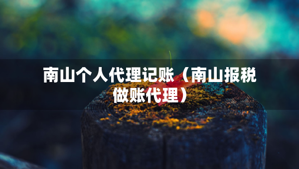 南山個人代理記賬（南山報稅做賬代理）