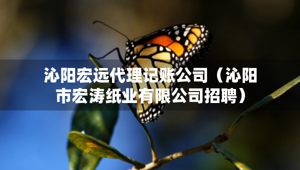 沁陽宏遠代理記賬公司（沁陽市宏濤紙業(yè)有限公司招聘）