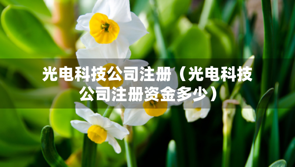光電科技公司注冊（光電科技公司注冊資金多少）