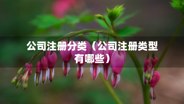 公司注冊(cè)分類（公司注冊(cè)類型有哪些）