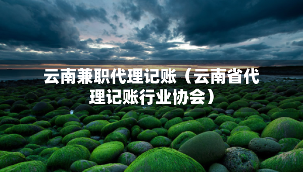 云南兼職代理記賬（云南省代理記賬行業(yè)協(xié)會）
