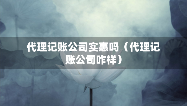 代理記賬公司實(shí)惠嗎（代理記賬公司咋樣）