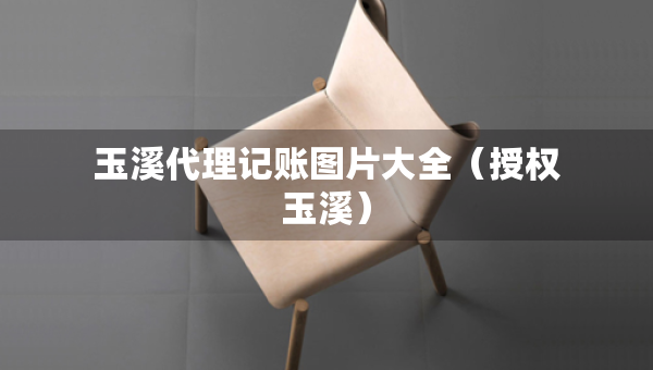 玉溪代理記賬圖片大全（授權(quán)玉溪）