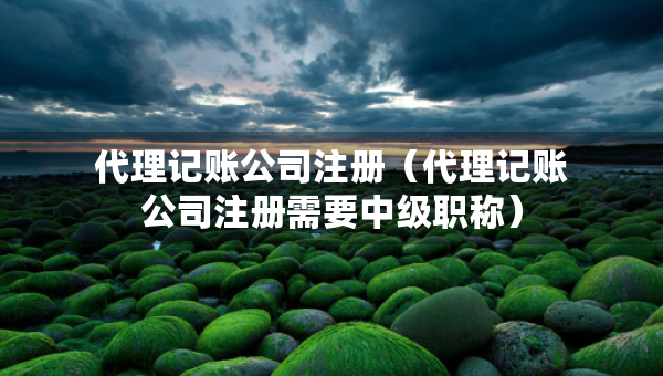 代理記賬公司注冊(cè)（代理記賬公司注冊(cè)需要中級(jí)職稱(chēng)）