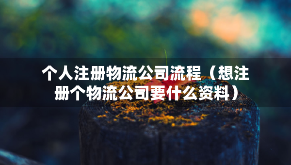 個(gè)人注冊(cè)物流公司流程（想注冊(cè)個(gè)物流公司要什么資料）