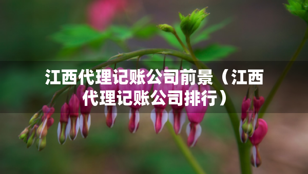 江西代理記賬公司前景（江西代理記賬公司排行）