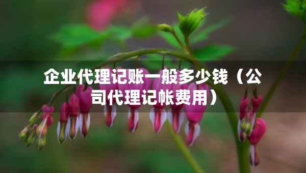 企業(yè)代理記賬一般多少錢（公司代理記帳費(fèi)用）