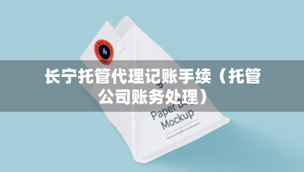 長(zhǎng)寧托管代理記賬手續(xù)（托管公司賬務(wù)處理）
